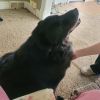 Bernie photo 4