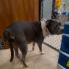 Lilly photo 3
