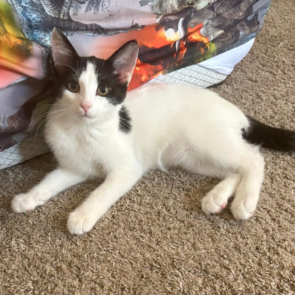 Leroy