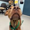 Mable photo 4