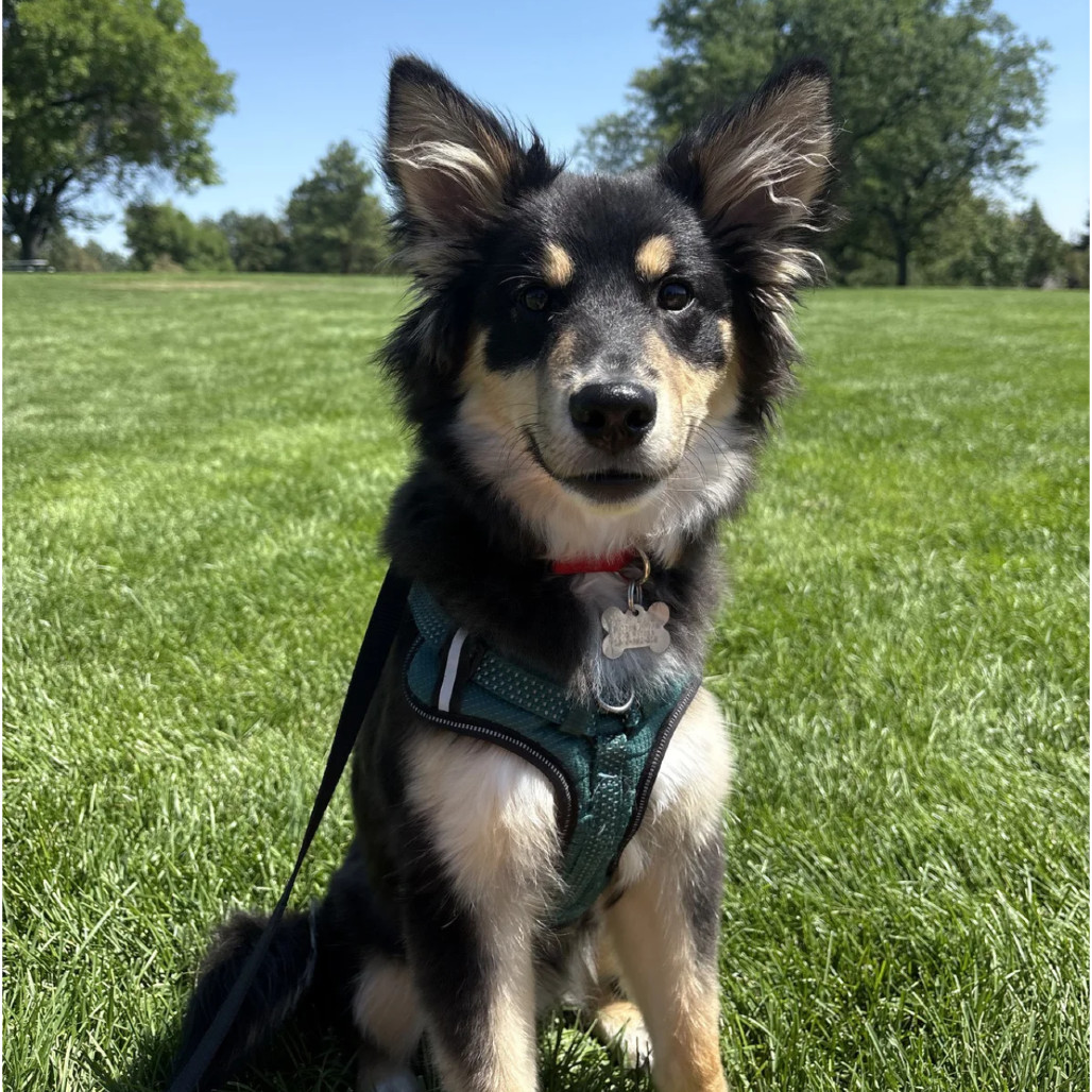 Denver