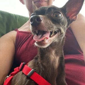Anakin (bonded to Padme), Adult Male unknown