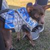 Anakin (bonded to Padme) photo 3