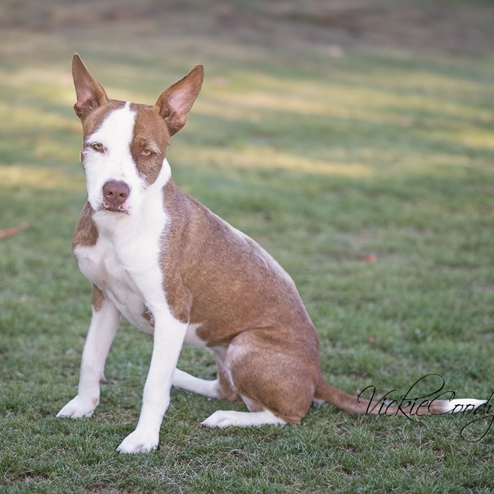 Chiquita