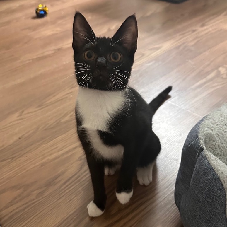 Walter