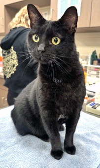 Salem