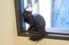 Dovie photo 2