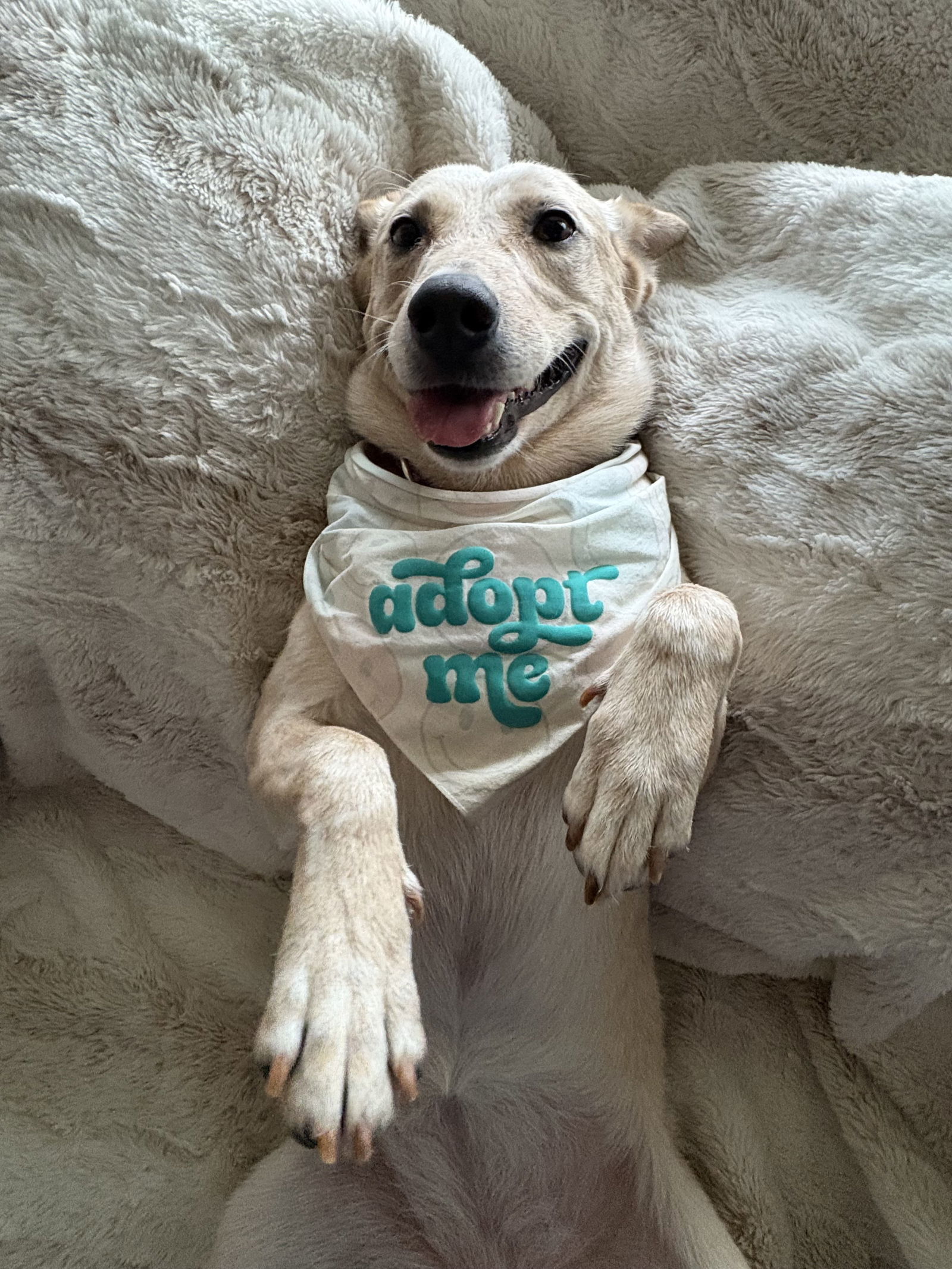 Debbie (Courtesy)