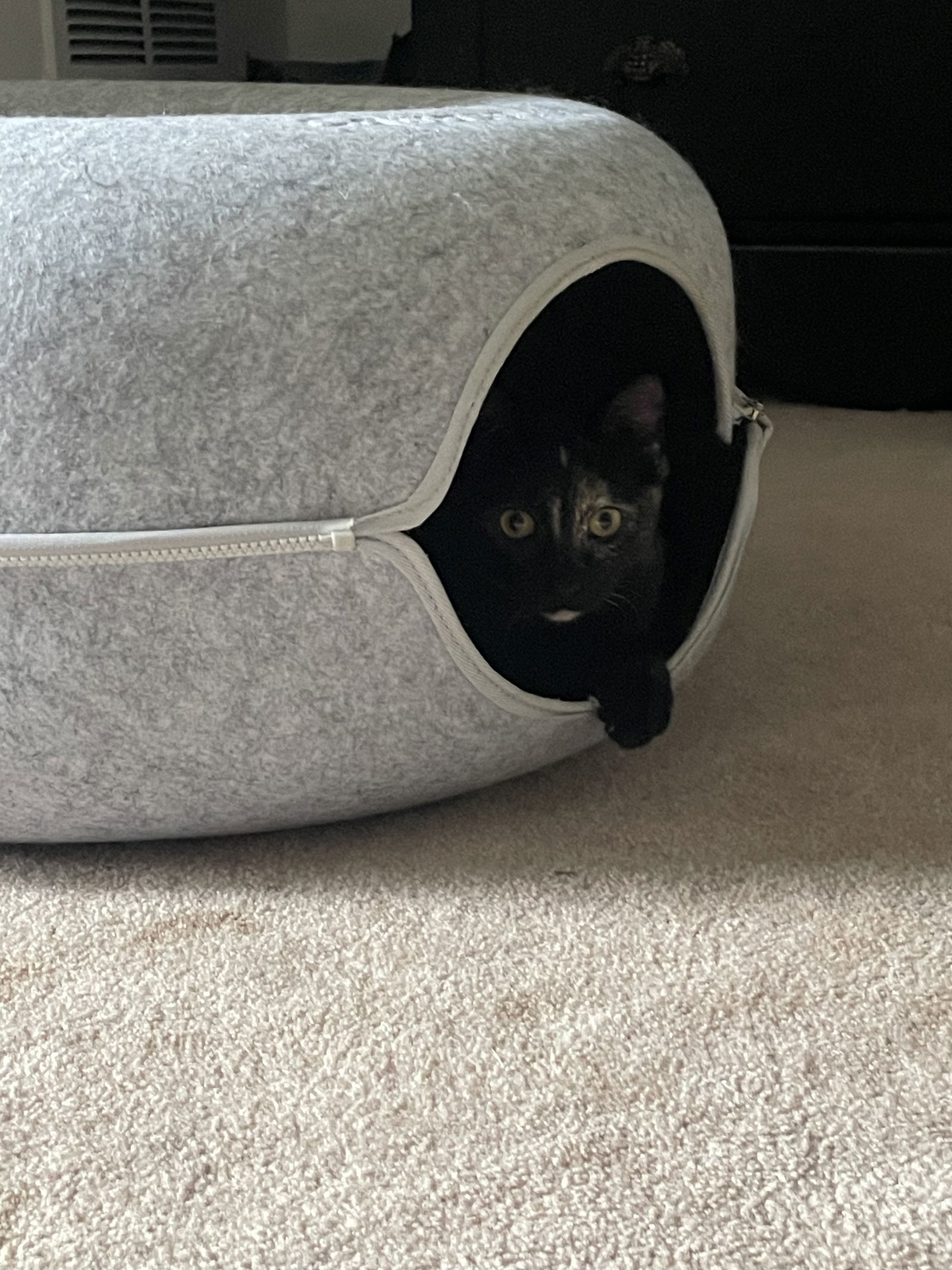 Luna Mae