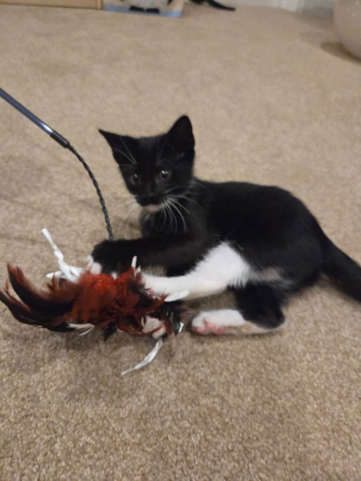 Jinx