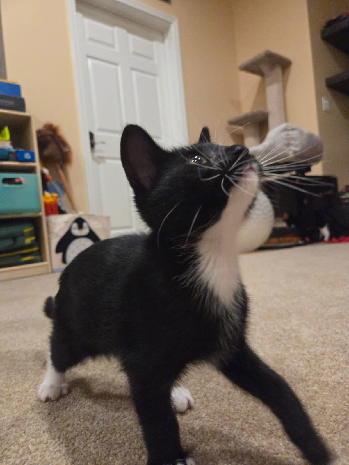 Jinx