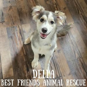 Della