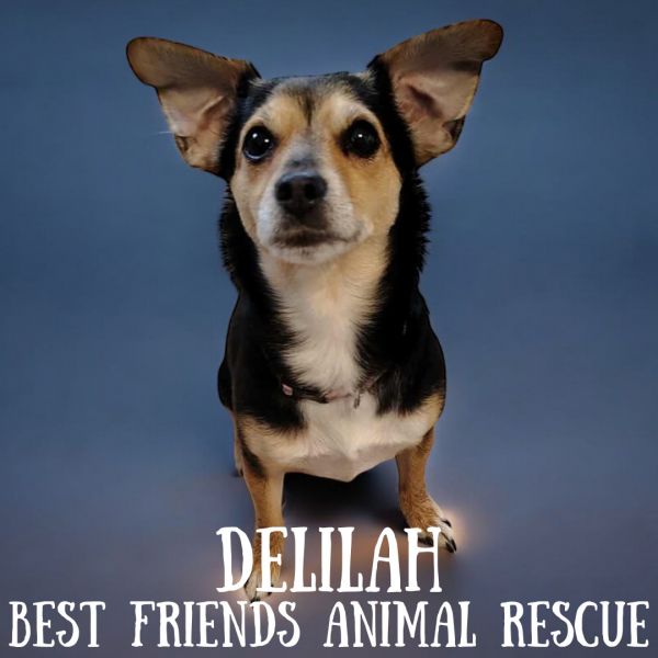 Delilah