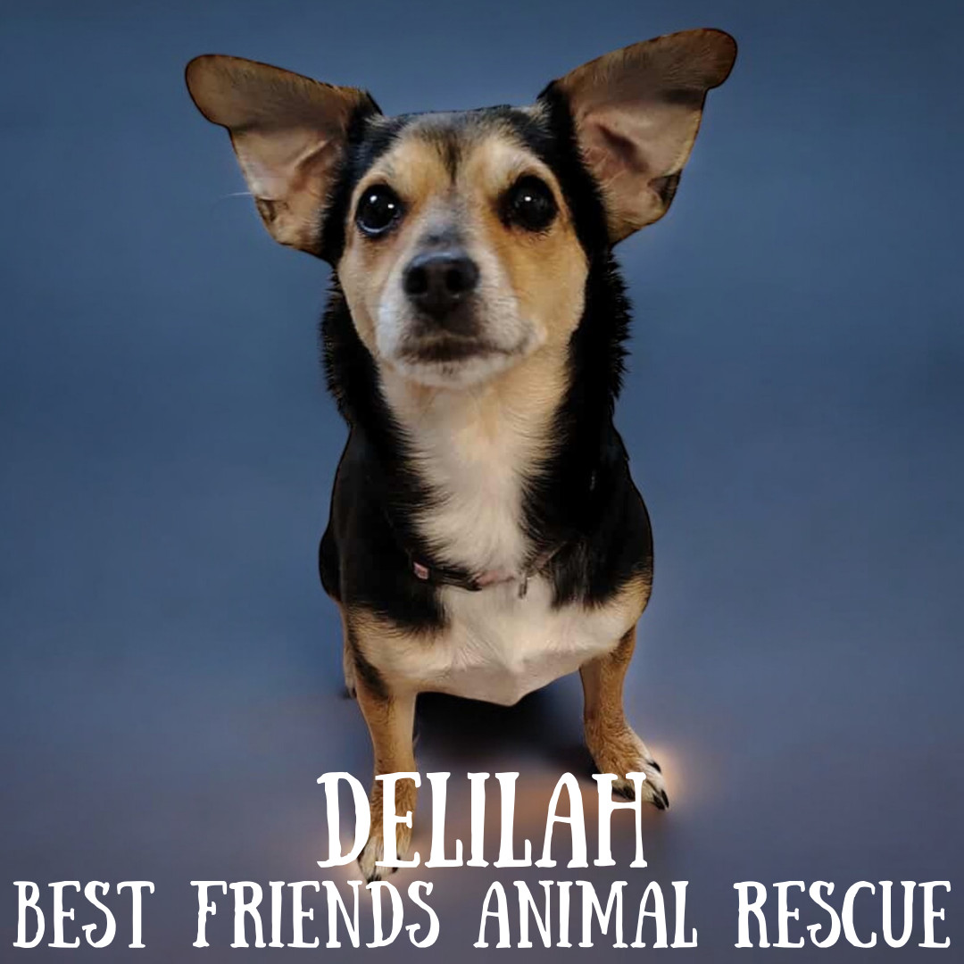 Delilah