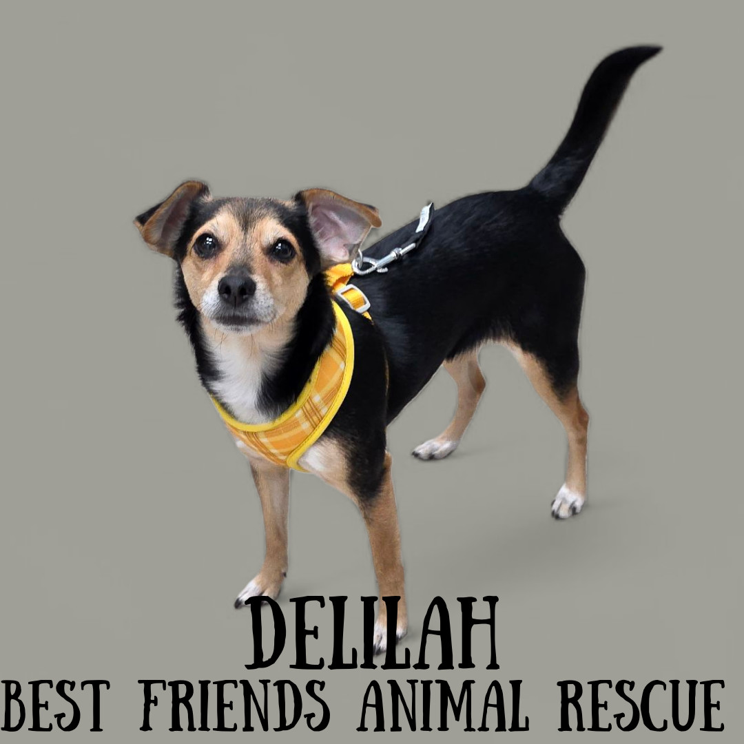 Delilah