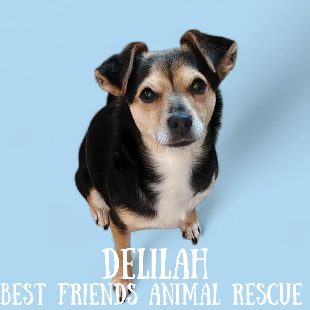 Delilah
