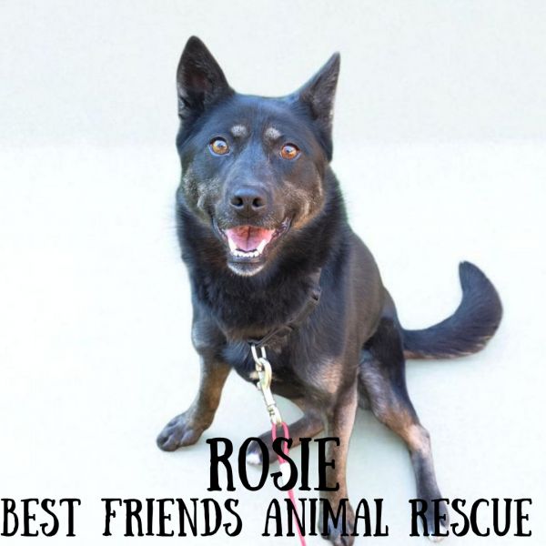 Rosie