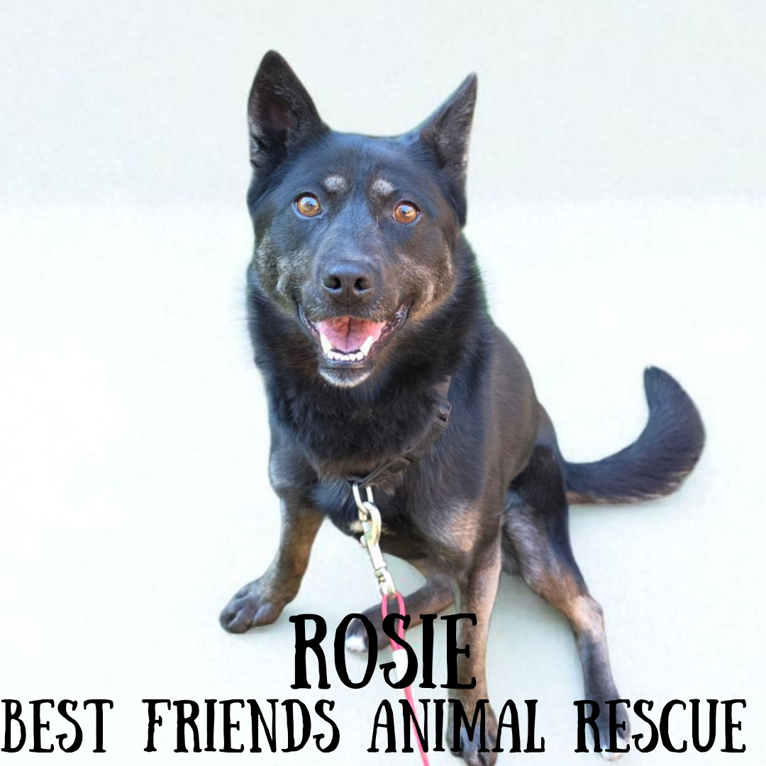 Rosie