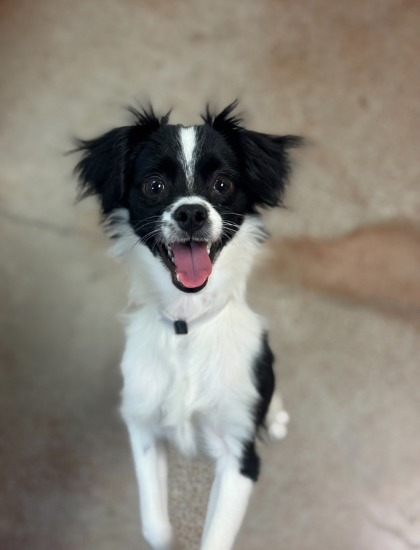 Loki thumbnail 2