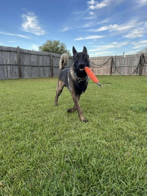 Butch fka Axel located in GA