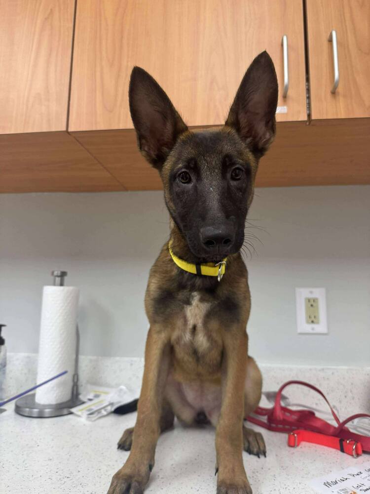 Mae Mae - located in AZ