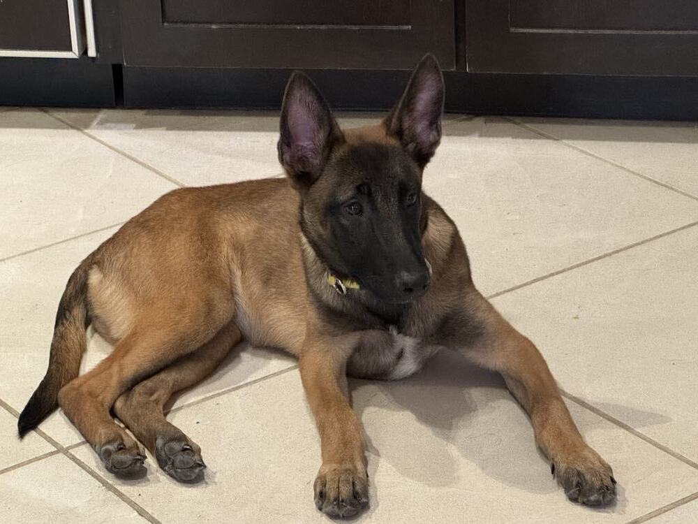 Mae Mae - located in AZ