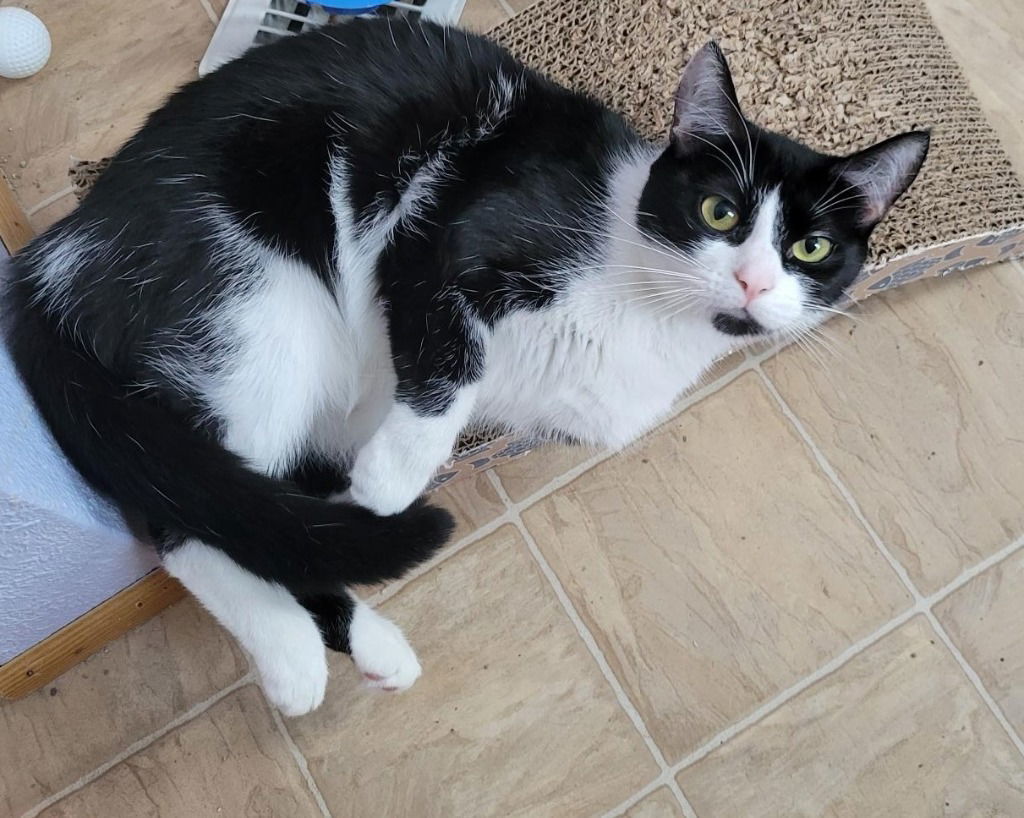 Tux