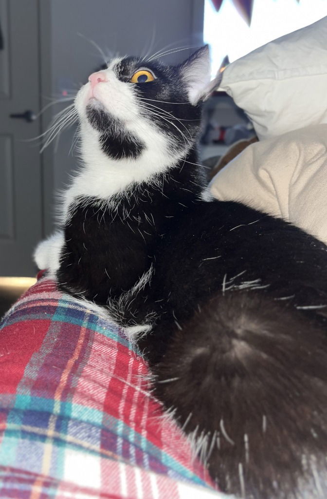 Tux