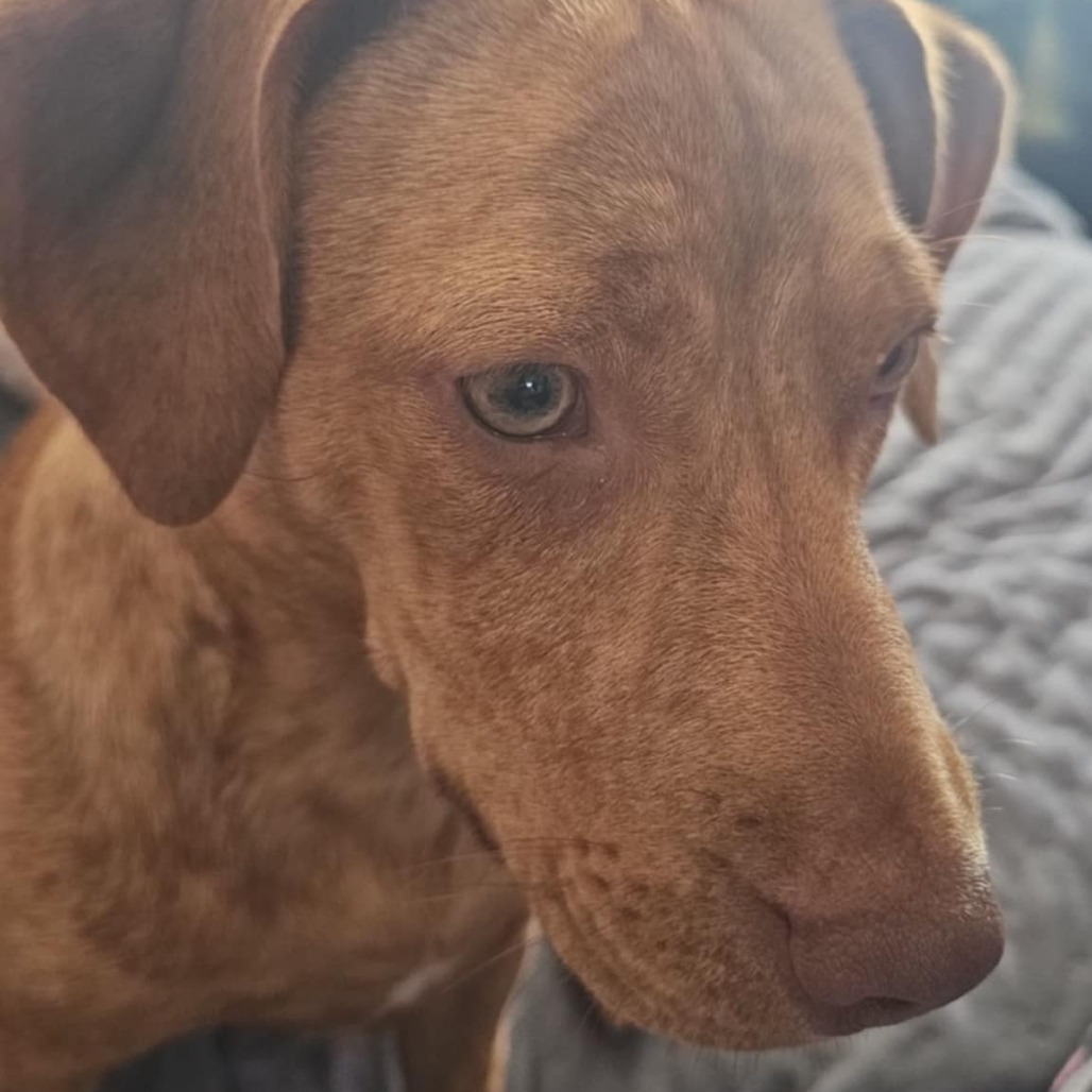Lilith (Lilly)