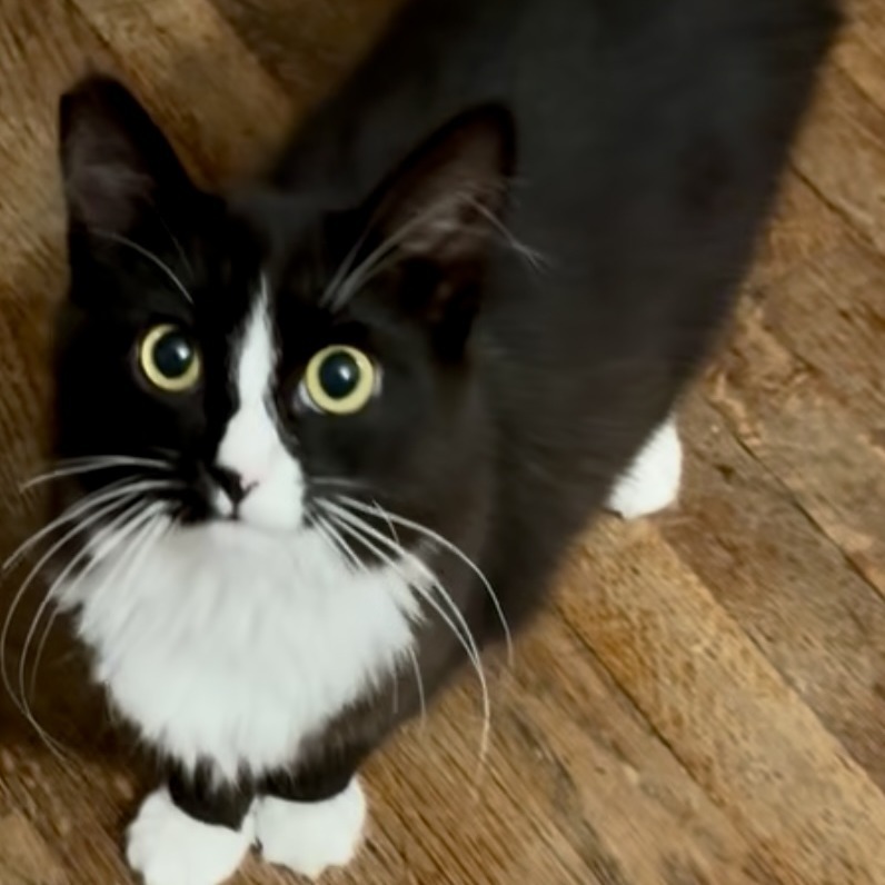 Matilda