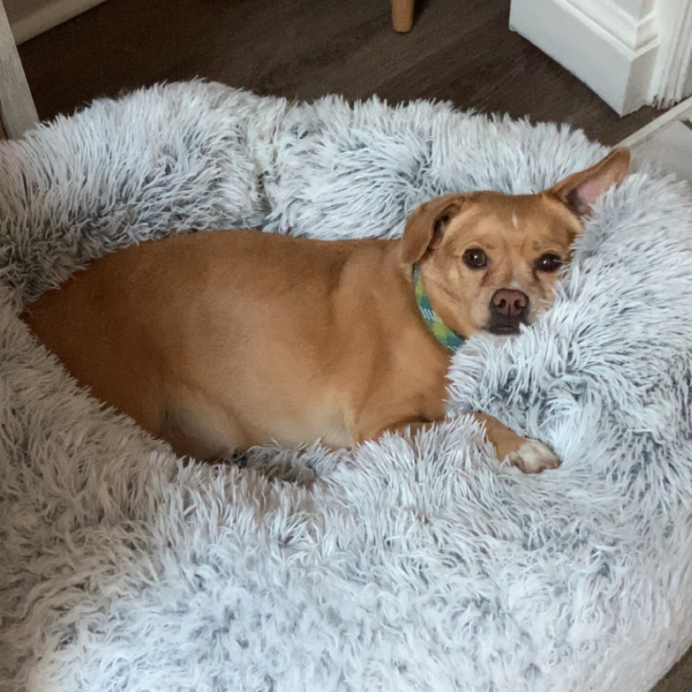 Reba