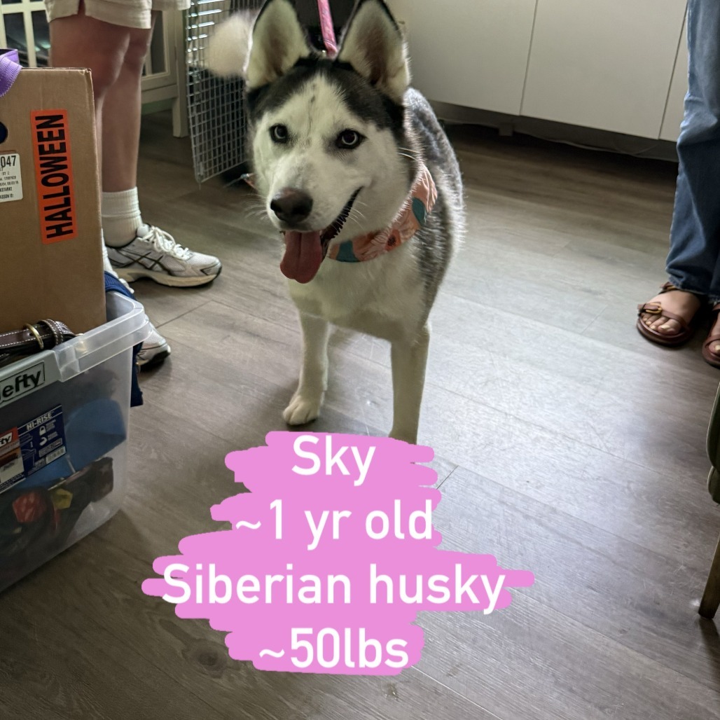 Sky