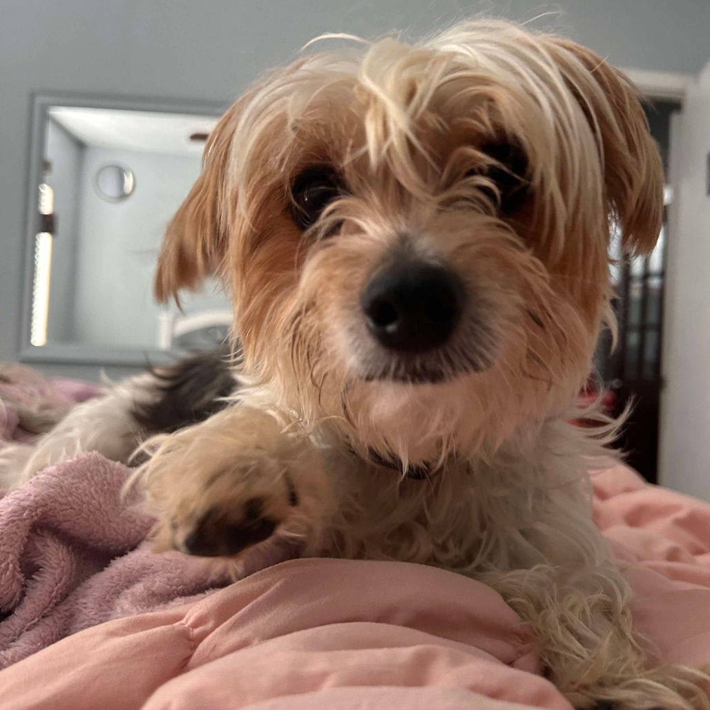 Luca
