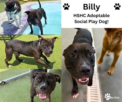 Billy