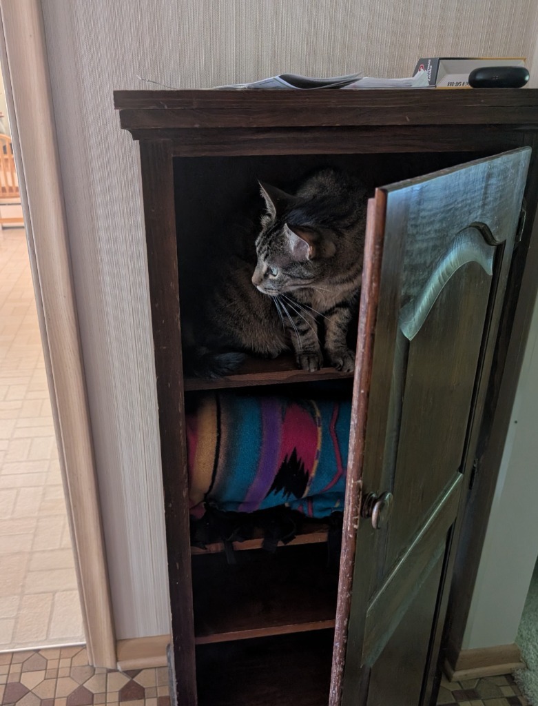 Kitty