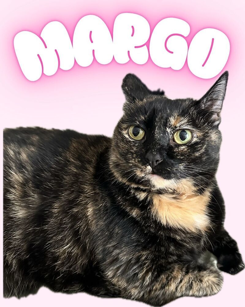 Margo