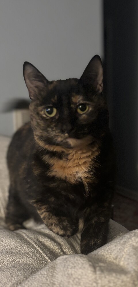Margo