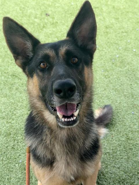 Fluffinator