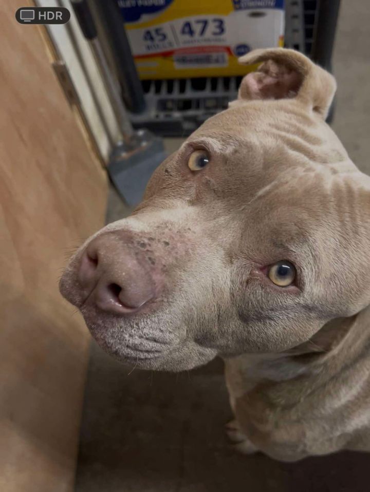 Truck Stop (Truckie) 1