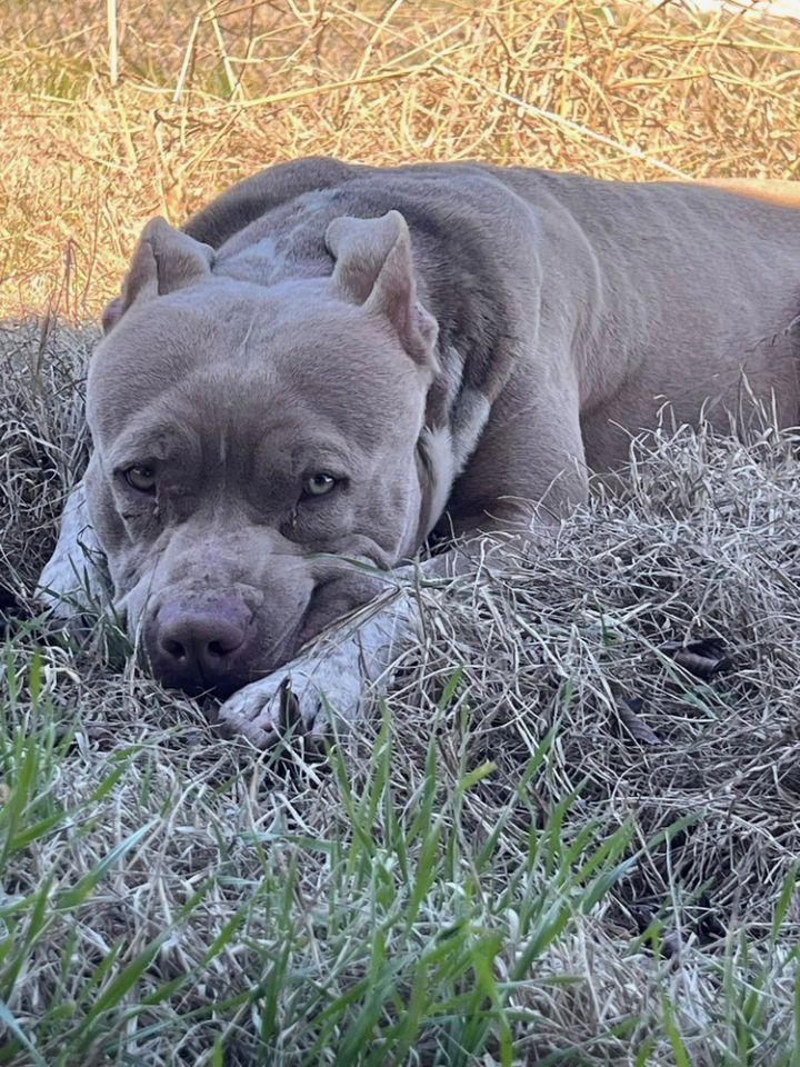 Truck Stop (Truckie) 2