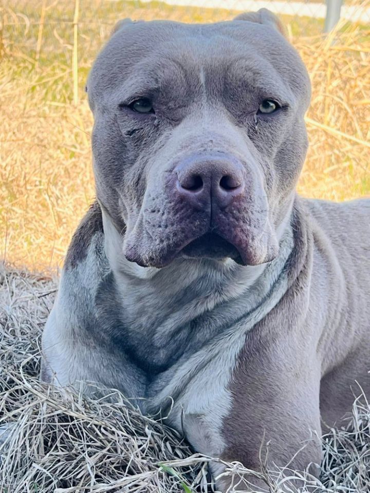 Truck Stop (Truckie) 3