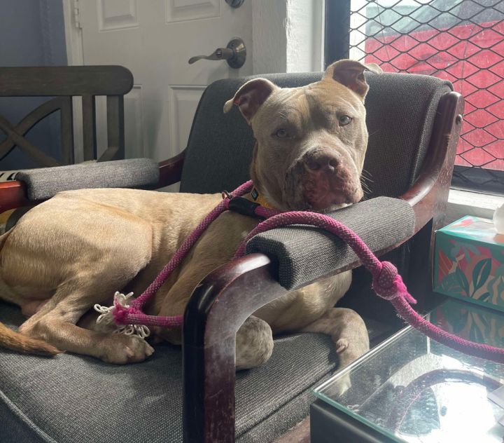 Truck Stop (Truckie) 4