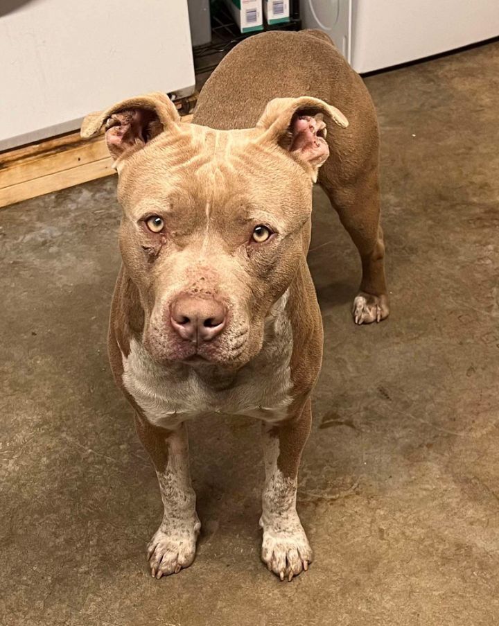 Truck Stop (Truckie) 5