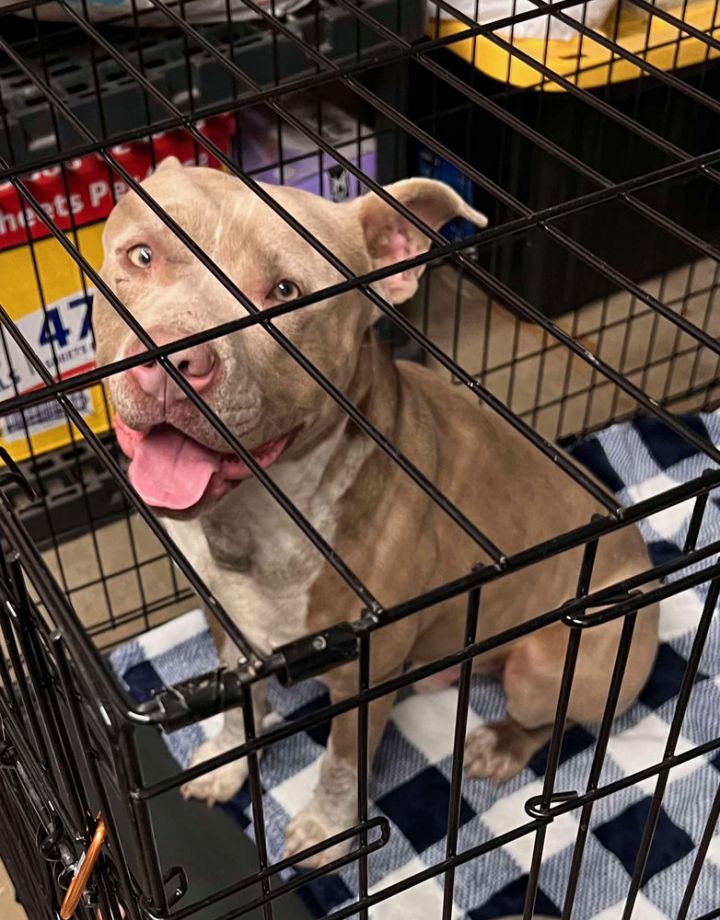 Truck Stop (Truckie) 6