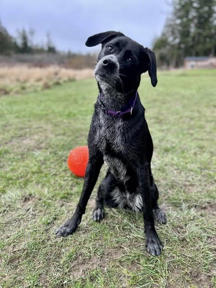 Kaya