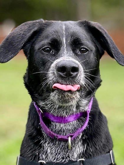 Kaya