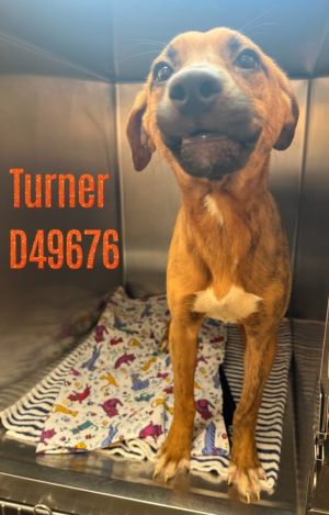 Turner