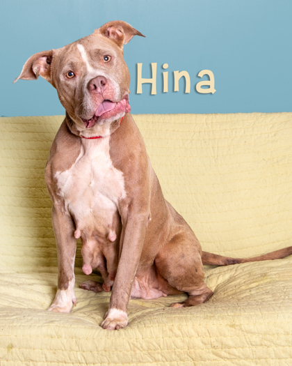 Hina