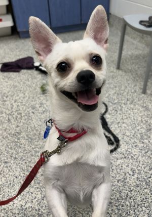 Max