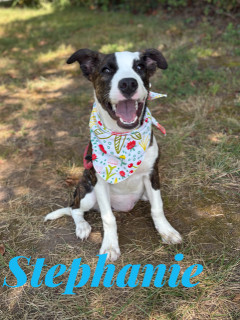 Stephanie 33349